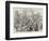 The Royal Visit to Ireland, State Ball at St Patrick's Hall, Dublin Castle-null-Framed Giclee Print