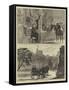 The Royal Wedding at Windsor-Alfred Chantrey Corbould-Framed Stretched Canvas