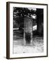 The Rufus Stone-J. Chettlburgh-Framed Photographic Print