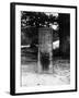 The Rufus Stone-J. Chettlburgh-Framed Photographic Print