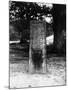 The Rufus Stone-J. Chettlburgh-Mounted Photographic Print