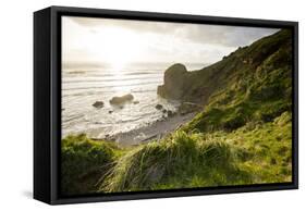 The Rugged Coast of Oregon at Ecola State Park-Sergio Ballivian-Framed Stretched Canvas