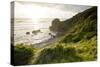 The Rugged Coast of Oregon at Ecola State Park-Sergio Ballivian-Stretched Canvas