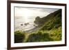 The Rugged Coast of Oregon at Ecola State Park-Sergio Ballivian-Framed Photographic Print