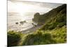 The Rugged Coast of Oregon at Ecola State Park-Sergio Ballivian-Mounted Photographic Print