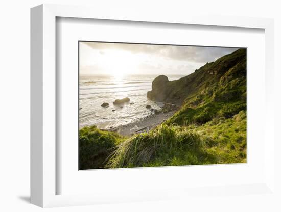 The Rugged Coast of Oregon at Ecola State Park-Sergio Ballivian-Framed Photographic Print