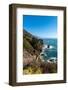 The rugged coastline of Big Sur with wisps of fog drifting into the hills.-Sheila Haddad-Framed Photographic Print