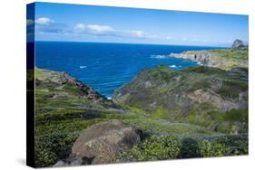 The Rugged Coastline of Western Maui, Hawaii, United States of America, Pacific-Michael Runkel-Stretched Canvas