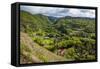 The Rugged Interior of Western Maui, Hawaii, United States of America, Pacific-Michael Runkel-Framed Stretched Canvas