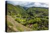 The Rugged Interior of Western Maui, Hawaii, United States of America, Pacific-Michael Runkel-Stretched Canvas