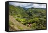 The Rugged Interior of Western Maui, Hawaii, United States of America, Pacific-Michael Runkel-Framed Stretched Canvas