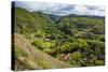 The Rugged Interior of Western Maui, Hawaii, United States of America, Pacific-Michael Runkel-Stretched Canvas