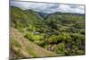 The Rugged Interior of Western Maui, Hawaii, United States of America, Pacific-Michael Runkel-Mounted Photographic Print