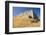 The Ruined Castle of Agios Georgios, Kastro, Near Argostoli-Ruth Tomlinson-Framed Photographic Print