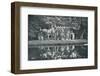 The Ruins at Frogmore, c1899, (1901)-HN King-Framed Photographic Print