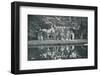 The Ruins at Frogmore, c1899, (1901)-HN King-Framed Photographic Print