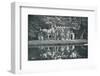 The Ruins at Frogmore, c1899, (1901)-HN King-Framed Photographic Print