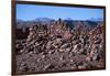 The Ruins of a Fortress in Catarpe to Protect the Indigenous People-Mallorie Ostrowitz-Framed Photographic Print