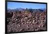 The Ruins of a Fortress in Catarpe to Protect the Indigenous People-Mallorie Ostrowitz-Framed Photographic Print