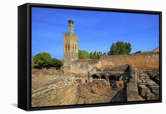 The Ruins of Chellah with Minaret, Rabat, Morocco, North Africa, Africa-Neil Farrin-Framed Stretched Canvas