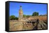 The Ruins of Chellah with Minaret, Rabat, Morocco, North Africa, Africa-Neil Farrin-Framed Stretched Canvas