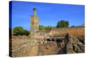 The Ruins of Chellah with Minaret, Rabat, Morocco, North Africa, Africa-Neil Farrin-Stretched Canvas