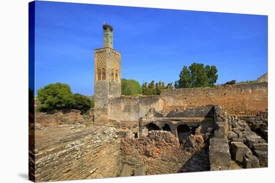 The Ruins of Chellah with Minaret, Rabat, Morocco, North Africa, Africa-Neil Farrin-Stretched Canvas