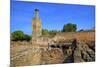 The Ruins of Chellah with Minaret, Rabat, Morocco, North Africa, Africa-Neil Farrin-Mounted Photographic Print