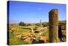 The Ruins of Chellah with Minaret, Rabat, Morocco, North Africa, Africa-Neil Farrin-Stretched Canvas