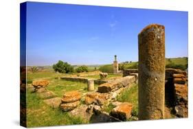 The Ruins of Chellah with Minaret, Rabat, Morocco, North Africa, Africa-Neil Farrin-Stretched Canvas