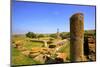 The Ruins of Chellah with Minaret, Rabat, Morocco, North Africa, Africa-Neil Farrin-Mounted Photographic Print