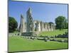 The Ruins of Glastonbury Abbey, Glastonbury, Somerset, England, UK-Christopher Nicholson-Mounted Photographic Print