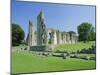 The Ruins of Glastonbury Abbey, Glastonbury, Somerset, England, UK-Christopher Nicholson-Mounted Photographic Print