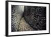 The Ruins of Great Zimbabwe Were Built between 1250 A.D., 1450 A.D. Great Zimbabw..., 1980S (Photo)-James L Stanfield-Framed Giclee Print