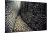 The Ruins of Great Zimbabwe Were Built between 1250 A.D., 1450 A.D. Great Zimbabw..., 1980S (Photo)-James L Stanfield-Mounted Giclee Print