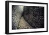 The Ruins of Great Zimbabwe Were Built between 1250 A.D., 1450 A.D. Great Zimbabw..., 1980S (Photo)-James L Stanfield-Framed Giclee Print