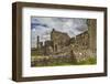 The ruins of Hore Abbey, near the ruins of the Rock of Cashel, Cashel, County Tipperary, Munster, R-Nigel Hicks-Framed Photographic Print