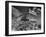 The Ruins of the Ancient Parthenon-null-Framed Photographic Print