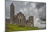 The ruins of the Rock of Cashel, Cashel, County Tipperary, Munster, Republic of Ireland, Europe-Nigel Hicks-Mounted Photographic Print