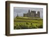 The ruins of the Rock of Cashel, Cashel, County Tipperary, Munster, Republic of Ireland, Europe-Nigel Hicks-Framed Photographic Print