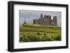 The ruins of the Rock of Cashel, Cashel, County Tipperary, Munster, Republic of Ireland, Europe-Nigel Hicks-Framed Photographic Print