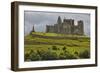 The ruins of the Rock of Cashel, Cashel, County Tipperary, Munster, Republic of Ireland, Europe-Nigel Hicks-Framed Photographic Print