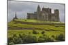 The ruins of the Rock of Cashel, Cashel, County Tipperary, Munster, Republic of Ireland, Europe-Nigel Hicks-Mounted Photographic Print