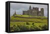 The ruins of the Rock of Cashel, Cashel, County Tipperary, Munster, Republic of Ireland, Europe-Nigel Hicks-Framed Stretched Canvas