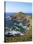 The Rumps in Spring Sunshine, Pentire Headland, Cornwall, England, United Kingdom, Europe-Peter Barritt-Stretched Canvas
