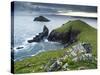 The Rumps, Pentire Point, Cornwall, England, United Kingdom, Europe-Jeremy Lightfoot-Stretched Canvas