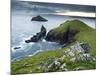 The Rumps, Pentire Point, Cornwall, England, United Kingdom, Europe-Jeremy Lightfoot-Mounted Photographic Print