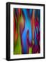 The Runner-Ursula Abresch-Framed Photographic Print