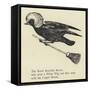The Rural Runcible Raven-Edward Lear-Framed Stretched Canvas