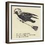 The Rural Runcible Raven-Edward Lear-Framed Giclee Print